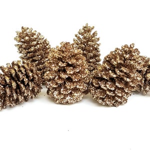 Op de afbeelding: Vijf gouden dennenappels met glitter, gerangschikt in een cluster op een witte achtergrond.