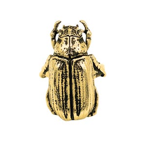 May include: A gold-colored beetle ring with a detailed, textured design. The ring is made of metal and features a realistic depiction of a beetle.
