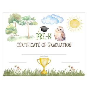 Pre-K Abschluss Urkunde Aquarell Eule Szene Vorschule Sofortiger Druck - Vorgefertigte Lehrer Form - Eule Thema Klassenzimmer - Klassenzimmer - Klasse Party