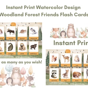 Woodland Forest Animal Friends Flash-kaarten Aquarelthema - Instant print Schattig - Teach Kids in the Classroom or Home 16 kaarten van 2" x 3"