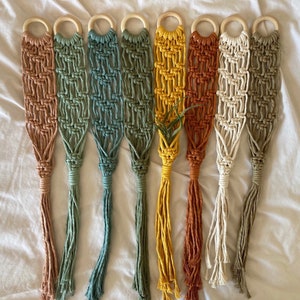 Macrame Air Plant Holder | Macrame Air Plant Hanger