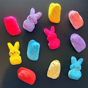 Marshmallow PEEPS chick or bunny Magnet Easter Candy HANDMADE peep FANCY