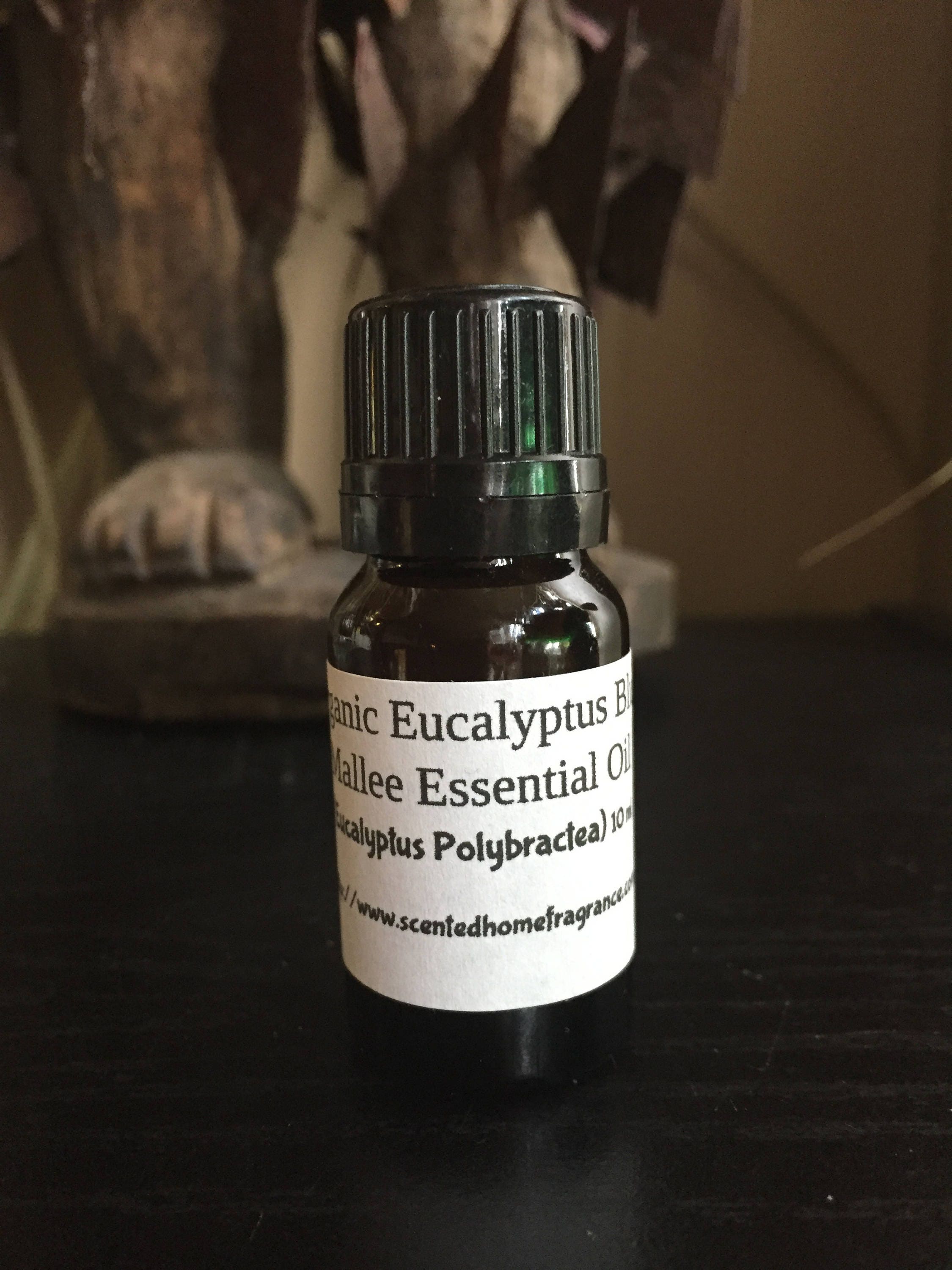 Lime Essential Oil, Therapeutic Grade, Pure Lime Essential Oil, Kosher