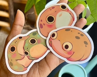 May include: Three frog stickers with different colors and patterns. The stickers are on a hand, and the hand is holding a watering can.