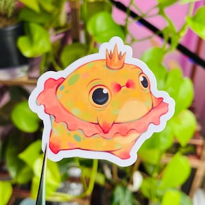 Dancing Queen Frog Sticker | Vinyl Water Resistant Sticker | Cute Sticker | Cute Frog