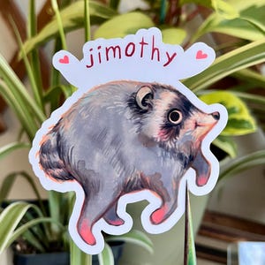 May include: A die-cut sticker featuring a round, gray, furry opossum-like creature with pink-tipped feet and ears. Above the creature, the name jimothy is written in red lowercase letters, flanked by two small pink hearts on a white background.