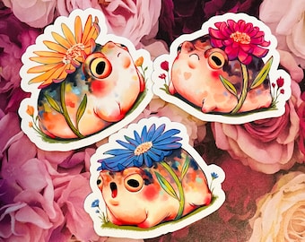 Desert Flower Frog Sticker Set | Vinyl Water Resistant Sticker | Cute Frog Sticker | Fun Frog Gift | Flower Frogs