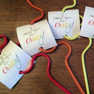 May include: Five colorful bendy straws with attached cards that say "I'll miss you like crazy!" in rainbow lettering.