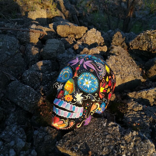 Sugar Skull, Mexican Skull, Floral Decor, Day of the Dead, Calavera, Handmade  Skull, Painted Skull, Dia De Muertos, MADE TO ORDER -  Israel
