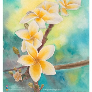 Plumeria Love - Impressão de Pintura