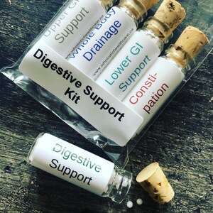 Digestive Support Healing Kit