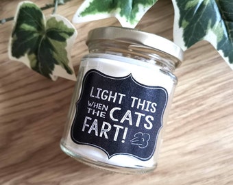 Cat Fart Scented Soy Candle, Funny Novelty Gift