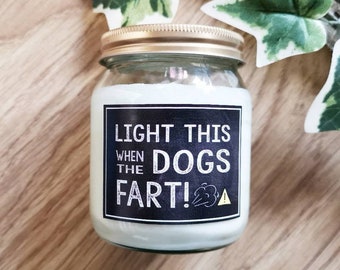 Bougie anti-odeurs amusante pour animaux de compagnie, cadeau pour amoureux des chiens, bougie de soja parfumée