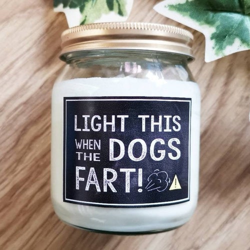 Funny Candle Dog Lover Gift Dog Candle Pet Odor Eliminator Etsy