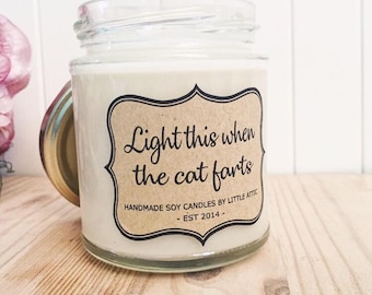 Divertente regalo per gli amanti dei gatti, candela di soia elimina odori