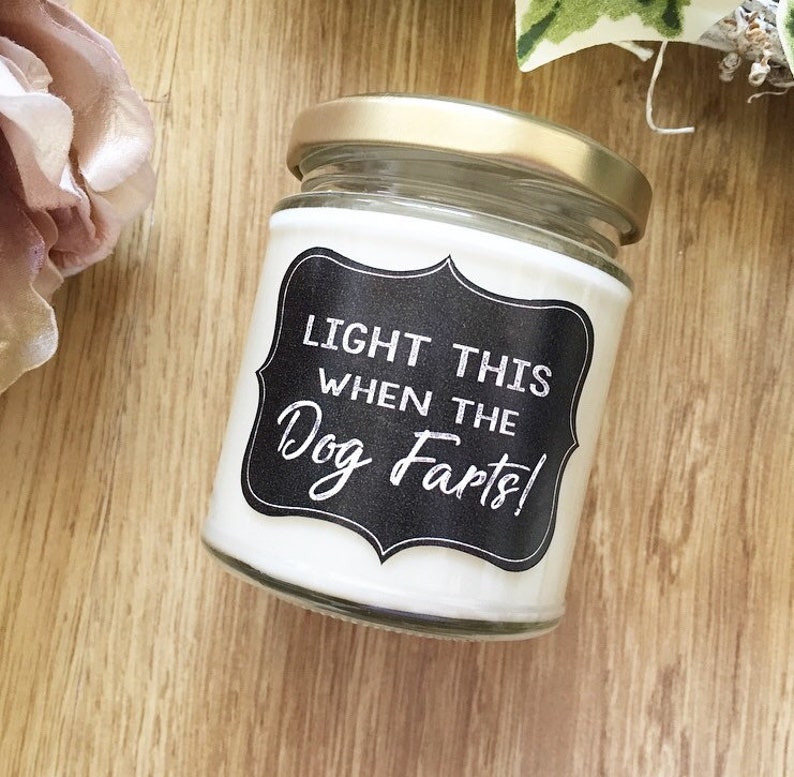 Funny Candle Dog Lover Gift Dog Candle Pet Odor Eliminator Etsy