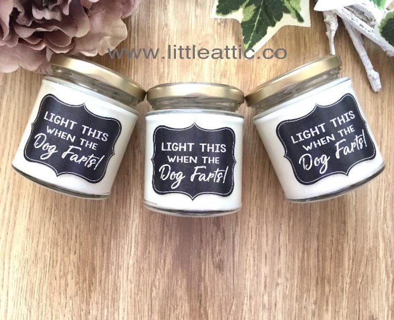 Funny Candle Dog Lover Gift Dog Candle Pet Odor Eliminator Etsy