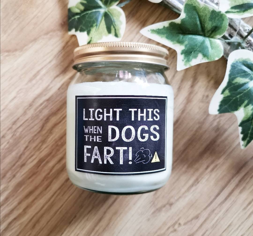 Funny Candle Dog Lover Gift Dog Candle Pet Odor Eliminator Etsy