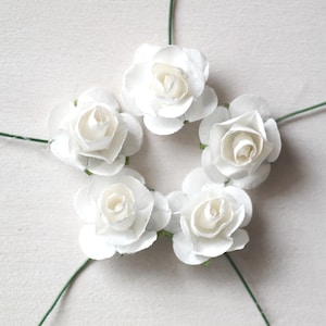 May include: Five white paper roses with green stems are arranged in a circle on a white background.
