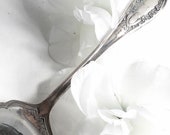 Wedding Cake Knife , sALE, sALE, Wedding Cake Server, Pie Server, Vintage Cake Server, Cake Serving , Silver Server Set, Silver Pie Server