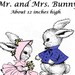 12 Bunny Rabbits, Mr. and Mrs. Rabbit, Soft Toy Pattern, Instant ...