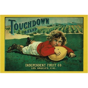 Los Angeles Touchdown Football Lemon Citrus Fruit Crate Label Postcard Paper Ephemera Unused Postcard