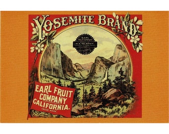 Redlands California Plumage Peacock Orange Citrus Fruit Crate Label Art