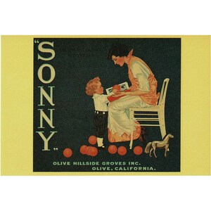 SONY Fruit Crate Label Postcard Rare Collectable Card Olive Hillside Groves Olive California Paper Ephemera