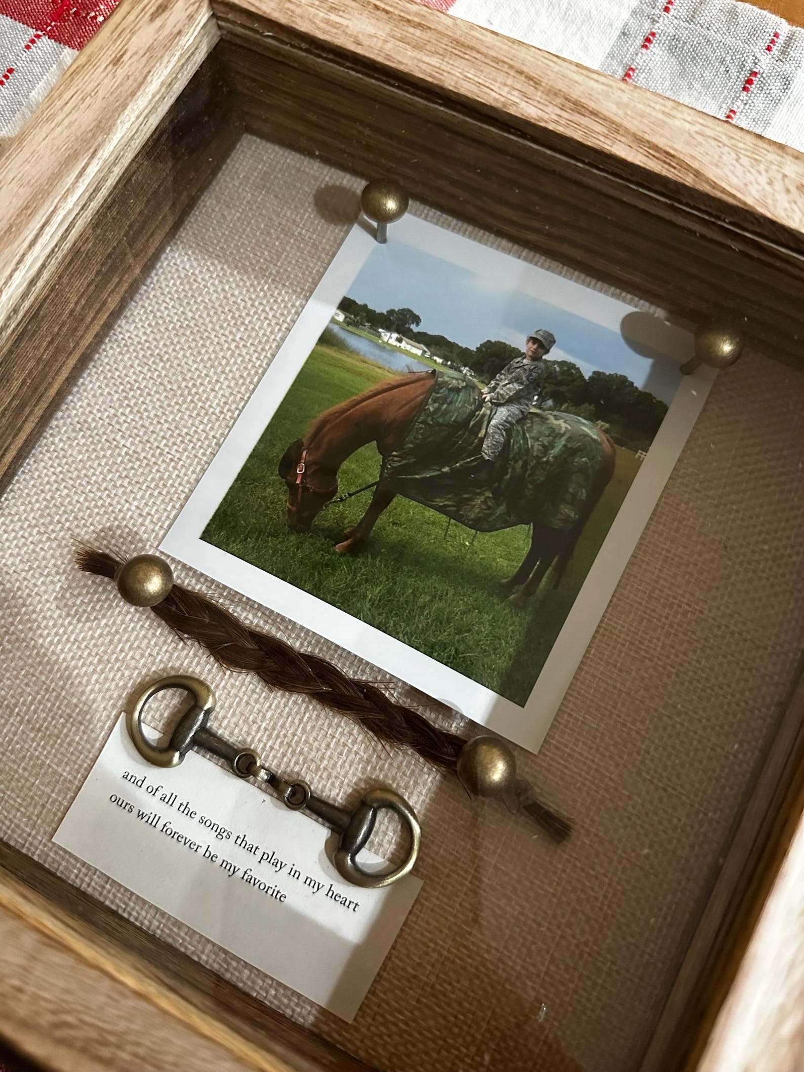 Equine Memorial Shadowbox - Etsy