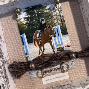 Equine Memorial Shadowbox