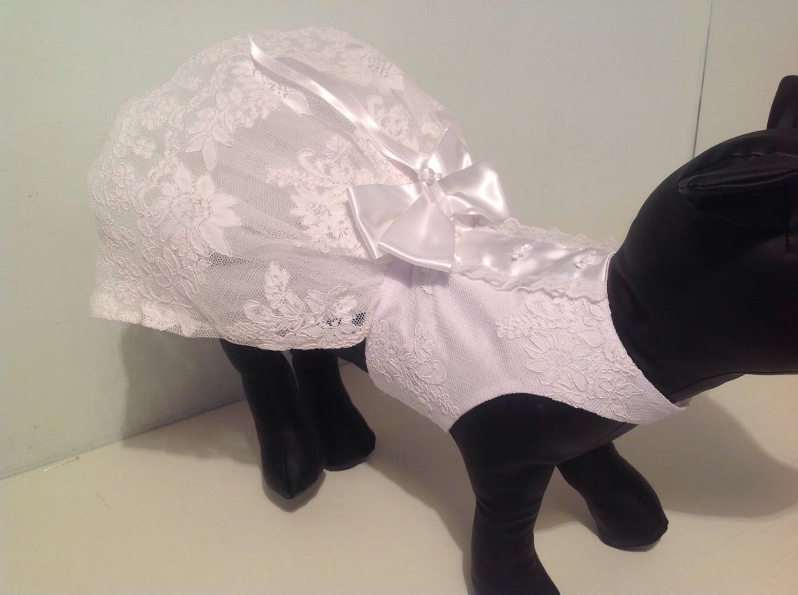 Designer Dog White Wedding Dress Puppy Dog Dress Custom Made | Etsy