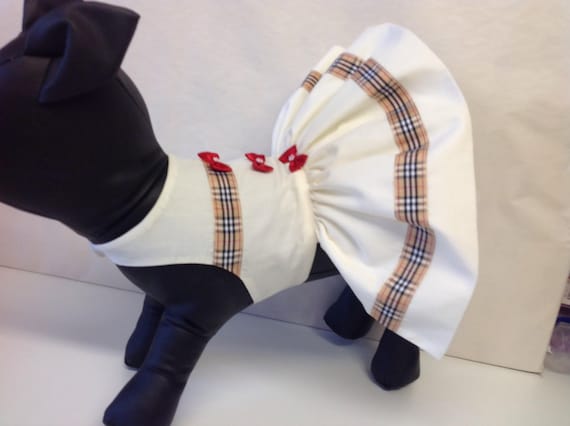 Precious Pup a Designer Cream Party Dress, Custom Made Dog Clothes,chihuahua  Dog Clothes,holiday Dog Outfits,tu Tu Style Dog Dresses, Pets , - Etsy  Ireland