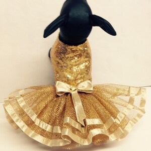 May include: A gold sequined dog dress with a tulle skirt and a gold satin bow.