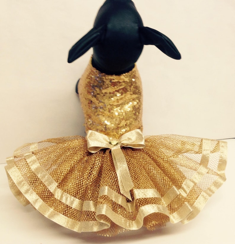 May include: A gold sequined dog dress with a tulle skirt and a gold satin bow.
