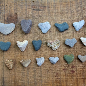 20 pcs Bulk Natural Heart-shaped Rocks from Lake Erie