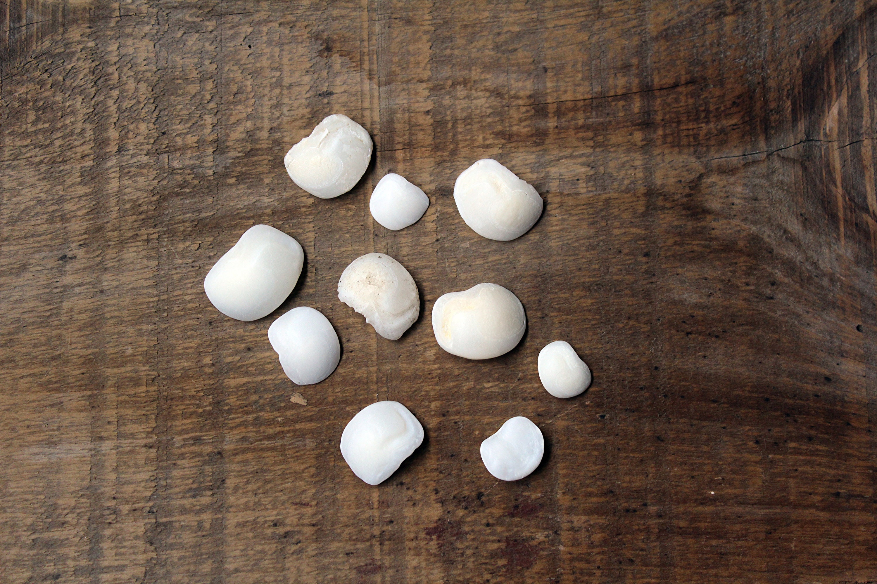 10 pcs Real Fish Otoliths Lucky Stones Freshwater Drum Etsy.de