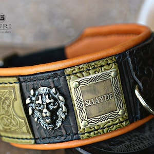 Puede incluir: Un collar de perro de cuero negro con ribete naranja y detalles en latón. El collar presenta un diseño de cabeza de león, un diseño de nudo celta y una placa de nombre de latón que dice "SHAYDE".