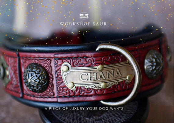 Luxury Dog Collar With Name CHANDI Shepherd Luxury Collar 