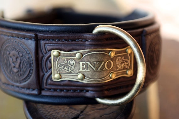 embellished dog collars