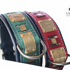 Designer Hundehalsband, KRONOS, griechische Mythologie, individuell gravierte Namensschilder, Leder Hundehalsband für große und mittelgroße Hunde, einzigartiges Luxushalsband