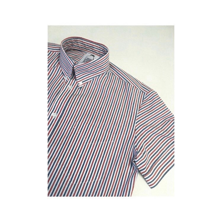 Image of Short Sleeve Striped Button Down