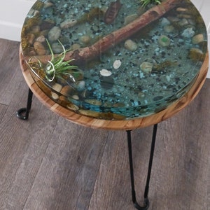 Pond Scene Resin Table
