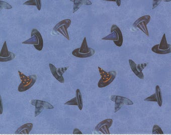 Coven by Robin Pickens- Coven 48805 14 Dusk- Half Yard- May 2026