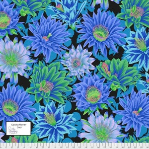 Kaffe Fassett- Philip Jacobs, Cactus Flower PWPJ096.COOL- Half Yard