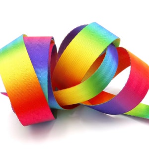 Rainbow Bright 1 inch (25mm)width Nylon Webbing- by the yard