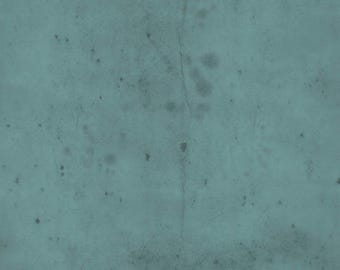 Tim Holtz- Eclectic Elements- Provisions PWTH115.PATINA- Half Yard