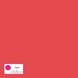 Tula Pink Designer Essential Solid- CSFSESS.CAJUN- Half Yard