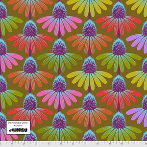 Anna Maria Horner- Echinacea PWAH149.AUTUMN- Half Yard