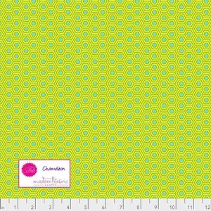 Tula Pink True Colors- Hexy PWTP150.CHAMELEON- Half Yard