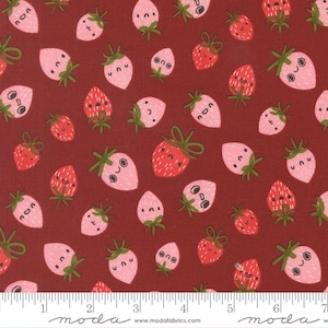 PRÉ-ENCOMENDA Funny Valentine da Lizzy House - Rose 37142 18 - Half Yard - Novembro de 2025
